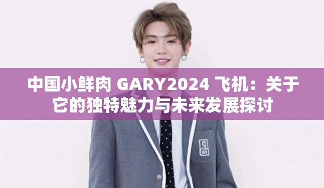 中國小鮮肉 GARY2024 飛機：關(guān)于它的獨特魅力與未來發(fā)展探討