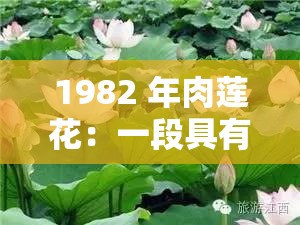 1982 年肉蓮花：一段具有獨(dú)特歷史意義和文化價(jià)值的過(guò)往記憶