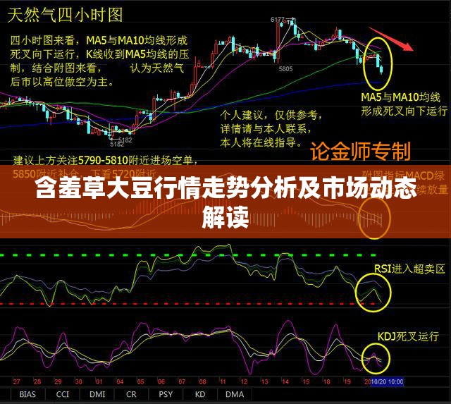 含羞草大豆行情走勢分析及市場動態(tài)解讀