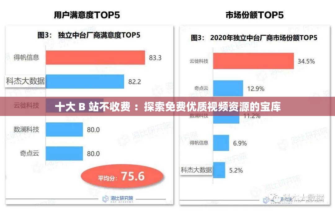 十大 B 站不收費(fèi) ：探索免費(fèi)優(yōu)質(zhì)視頻資源的寶庫(kù)