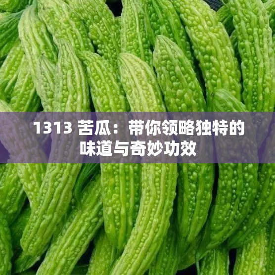 1313 苦瓜：帶你領略獨特的味道與奇妙功效