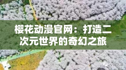 櫻花動(dòng)漫官網(wǎng)：打造二次元世界的奇幻之旅