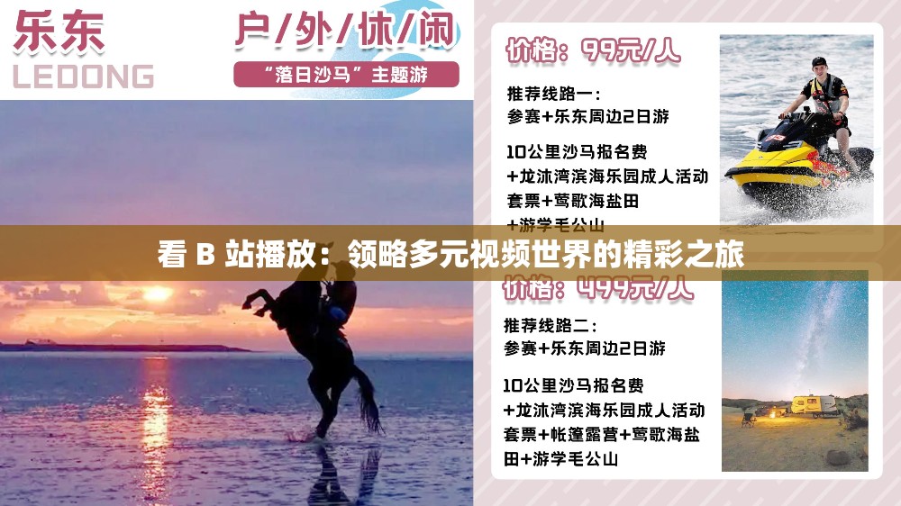 看 B 站播放：領略多元視頻世界的精彩之旅