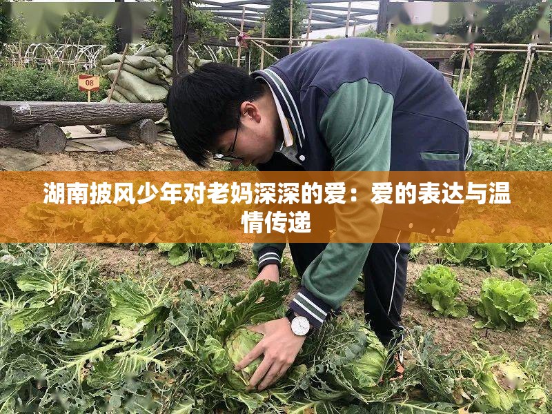 湖南披風(fēng)少年對老媽深深的愛：愛的表達(dá)與溫情傳遞