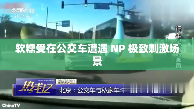 軟糯受在公交車遭遇 NP 極致刺激場(chǎng)景