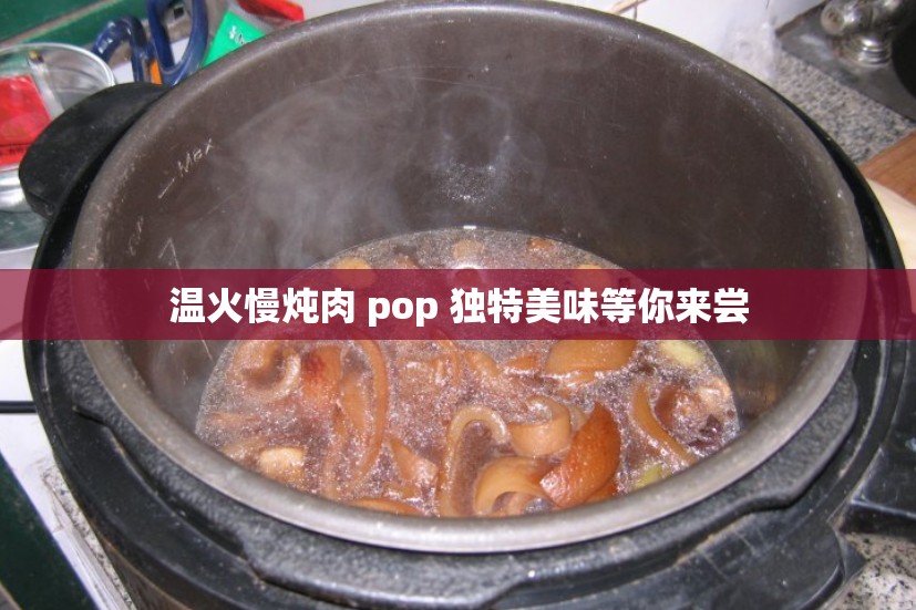 溫火慢燉肉 pop 獨特美味等你來嘗