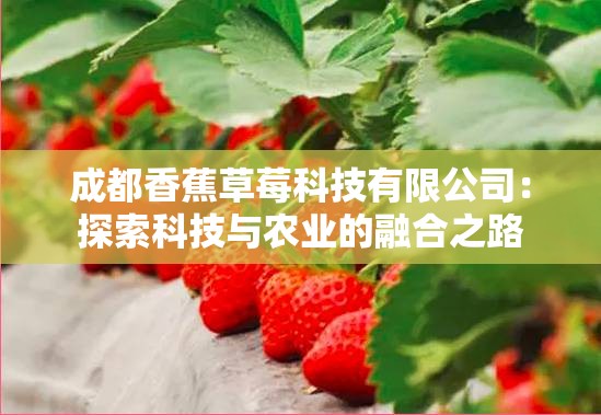 成都香蕉草莓科技有限公司：探索科技與農業(yè)的融合之路