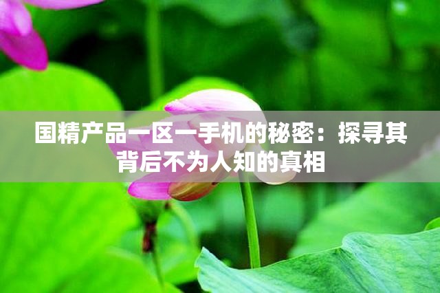 國精產(chǎn)品一區(qū)一手機的秘密：探尋其背后不為人知的真相