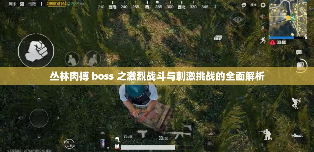 叢林肉搏 boss 之激烈戰(zhàn)斗與刺激挑戰(zhàn)的全面解析