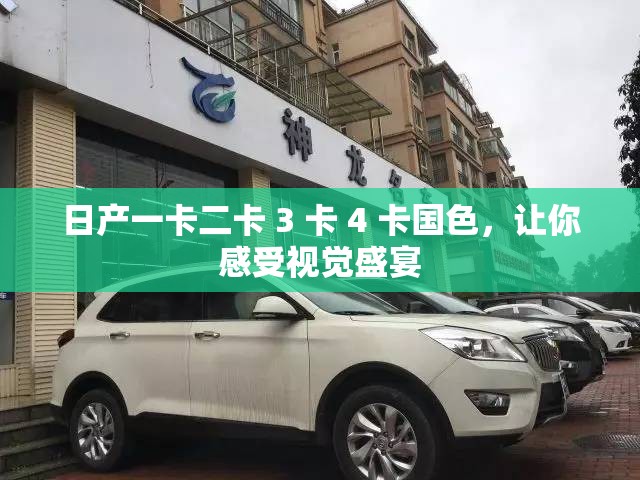 日產(chǎn)一卡二卡 3 卡 4 卡國色，讓你感受視覺盛宴