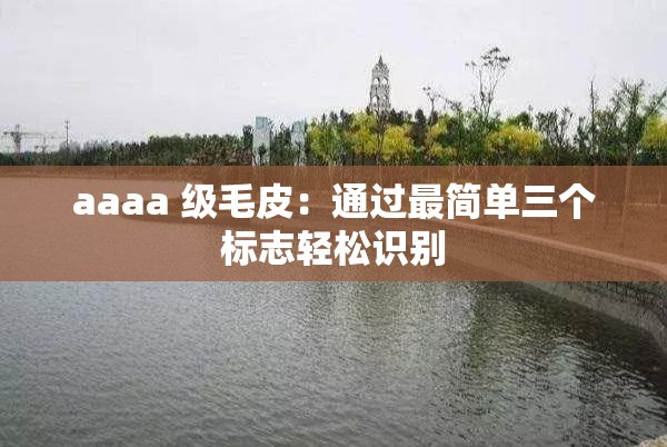 aaaa 級(jí)毛皮：通過最簡單三個(gè)標(biāo)志輕松識(shí)別