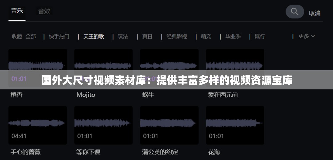 國外大尺寸視頻素材庫：提供豐富多樣的視頻資源寶庫