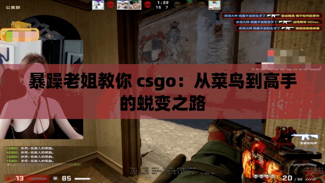 暴躁老姐教你 csgo：從菜鳥(niǎo)到高手的蛻變之路