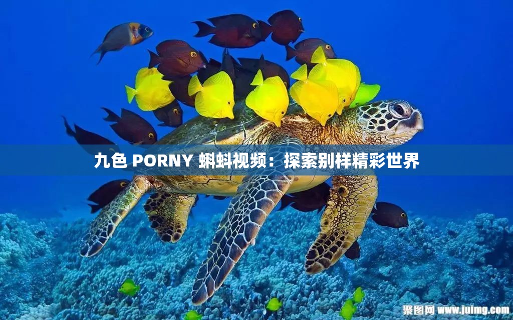 九色 PORNY 蝌蚪視頻：探索別樣精彩世界