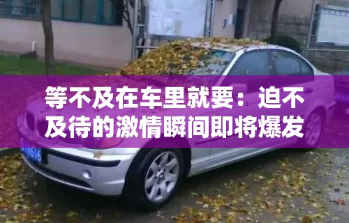 等不及在車里就要：迫不及待的激情瞬間即將爆發(fā)