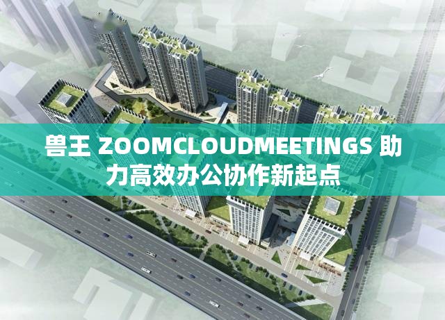 獸王 ZOOMCLOUDMEETINGS 助力高效辦公協作新起點