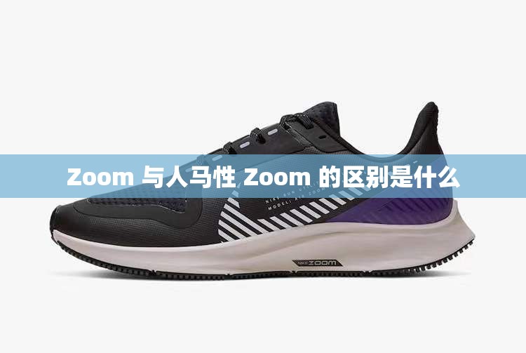 Zoom 與人馬性 Zoom 的區(qū)別是什么