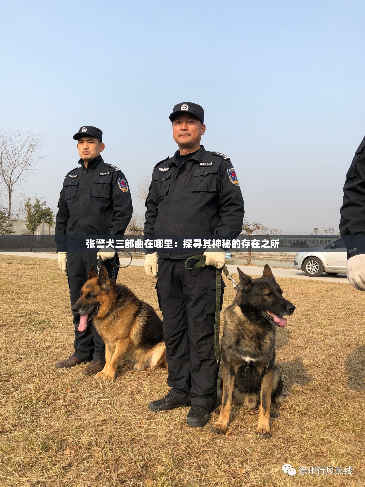 張警犬三部曲在哪里：探尋其神秘的存在之所