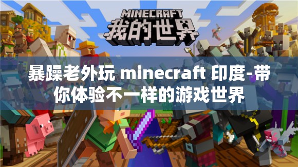 暴躁老外玩 minecraft 印度-帶你體驗不一樣的游戲世界