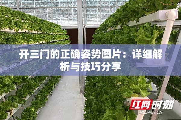 開三門的正確姿勢圖片：詳細解析與技巧分享