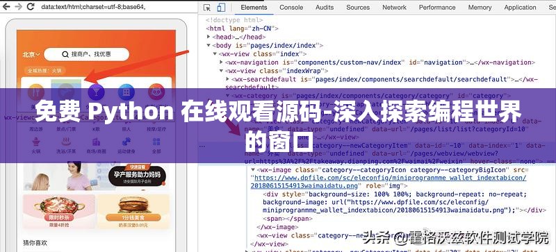 免費(fèi) Python 在線觀看源碼-深入探索編程世界的窗口