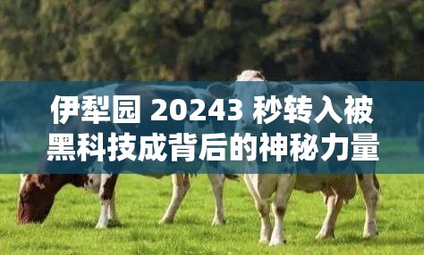 伊犁園 20243 秒轉(zhuǎn)入被黑科技成背后的神秘力量與影響因素探秘