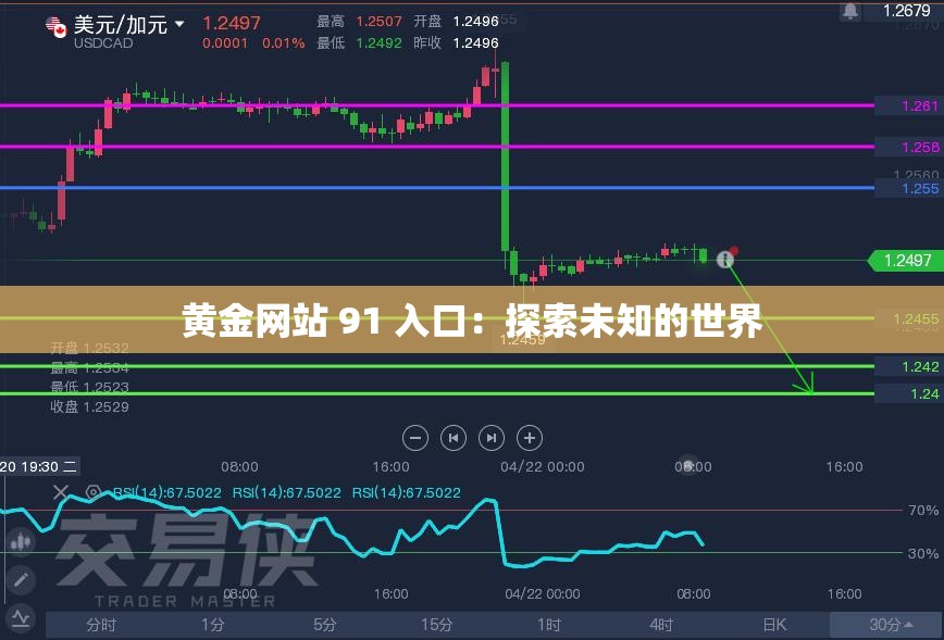 黃金網(wǎng)站 91 入口：探索未知的世界