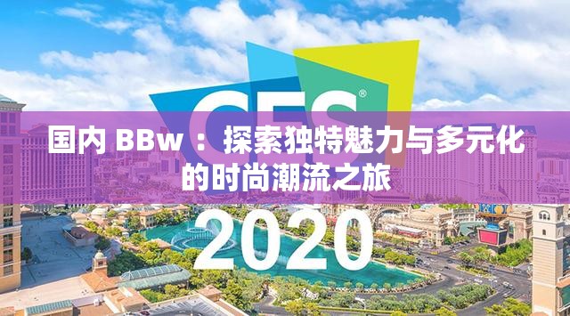 國內(nèi) BBw ：探索獨特魅力與多元化的時尚潮流之旅