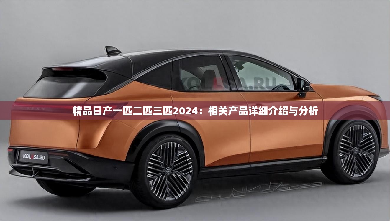 精品日產(chǎn)一匹二匹三匹2024：相關(guān)產(chǎn)品詳細(xì)介紹與分析