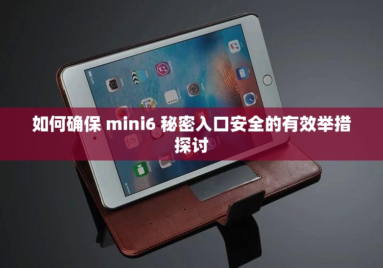 如何確保 mini6 秘密入口安全的有效舉措探討