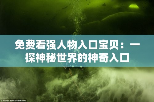 免費看強人物入口寶貝：一探神秘世界的神奇入口