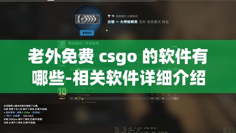 老外免費 csgo 的軟件有哪些-相關(guān)軟件詳細介紹及使用攻略