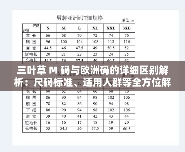 三葉草 M 碼與歐洲碼的詳細區(qū)別解析：尺碼標準、適用人群等全方位解讀