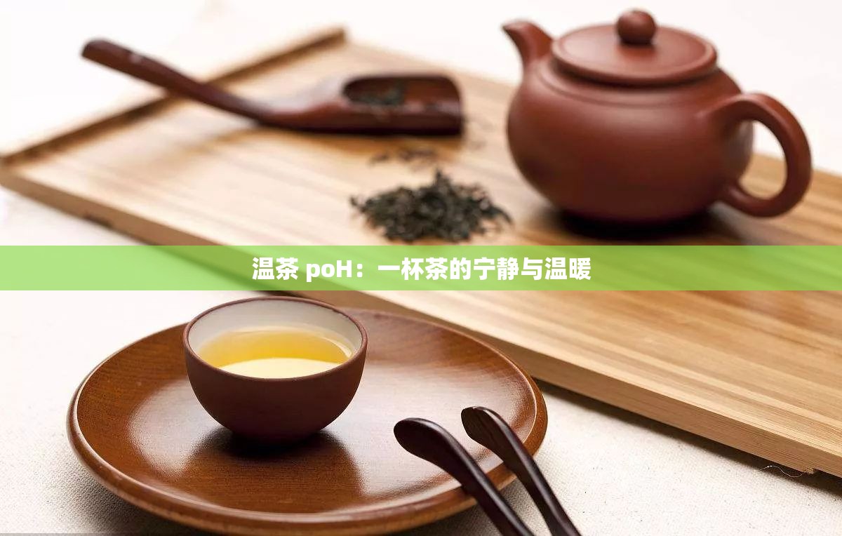 溫茶 poH：一杯茶的寧靜與溫暖