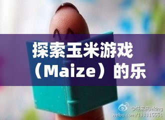 探索玉米游戲（Maize）的樂趣，分享游戲體驗(yàn)心得及資源管理在游戲中的重要性