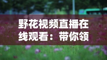 野花視頻直播在線觀看：帶你領(lǐng)略多彩的自然世界