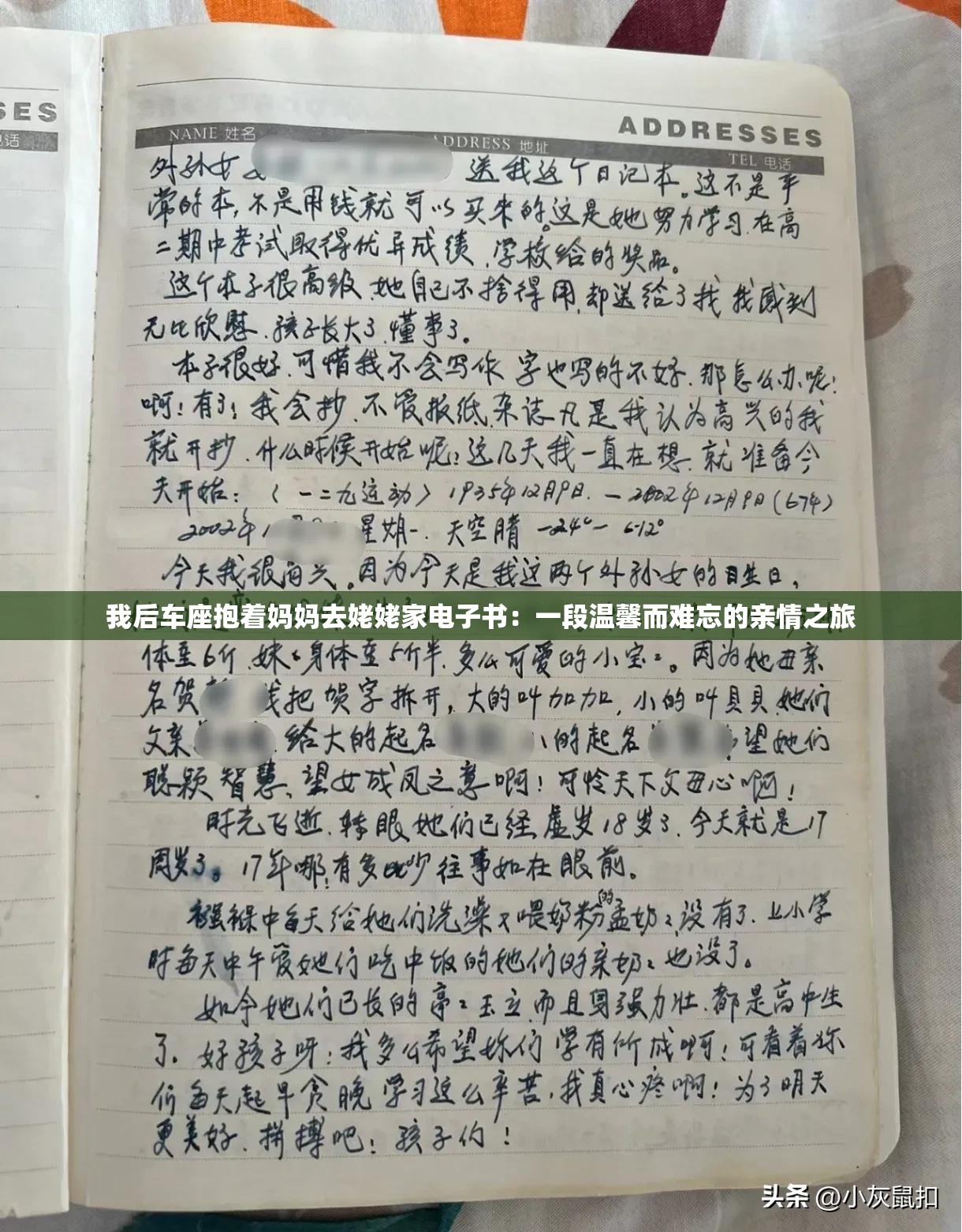 我后車座抱著媽媽去姥姥家電子書：一段溫馨而難忘的親情之旅