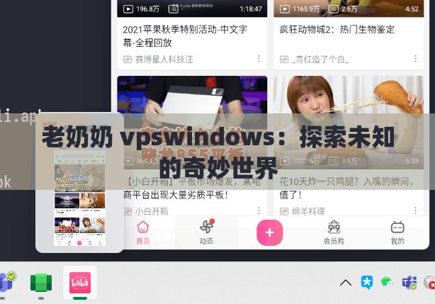 老奶奶 vpswindows：探索未知的奇妙世界