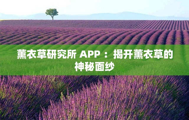 薰衣草研究所 APP ：揭開薰衣草的神秘面紗