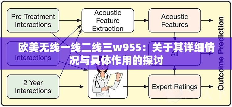 歐美無線一線二線三w955：關(guān)于其詳細(xì)情況與具體作用的探討