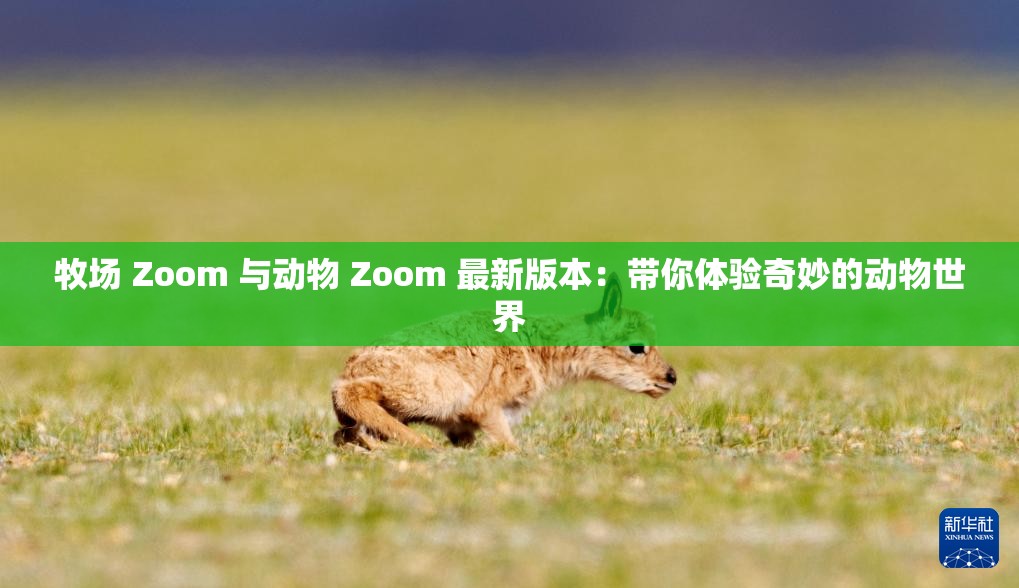 牧場 Zoom 與動物 Zoom 最新版本：帶你體驗奇妙的動物世界