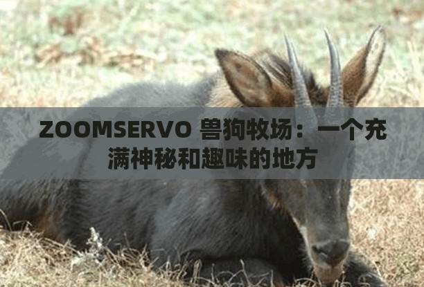 ZOOMSERVO 獸狗牧場(chǎng)：一個(gè)充滿神秘和趣味的地方