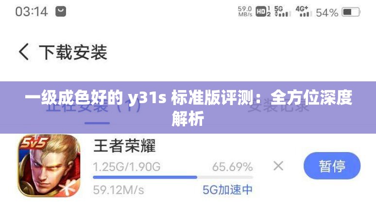 一級成色好的 y31s 標(biāo)準(zhǔn)版評測：全方位深度解析