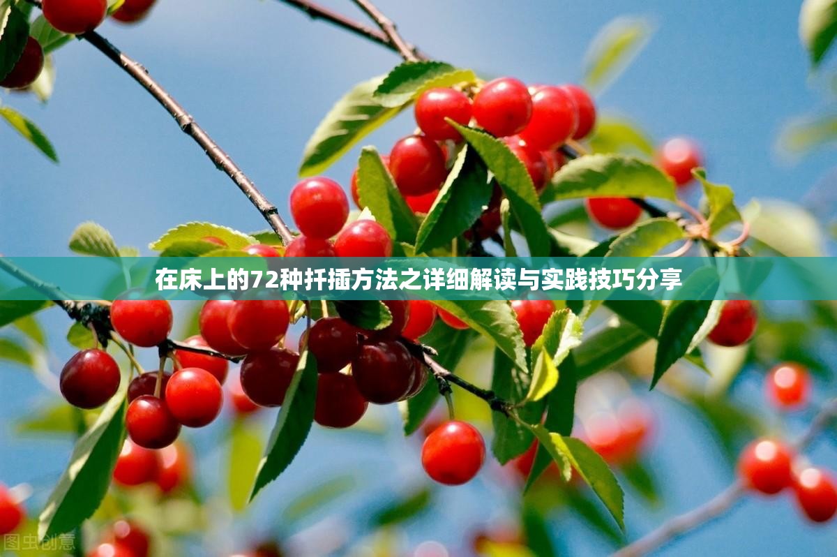 在床上的72種扦插方法之詳細(xì)解讀與實(shí)踐技巧分享