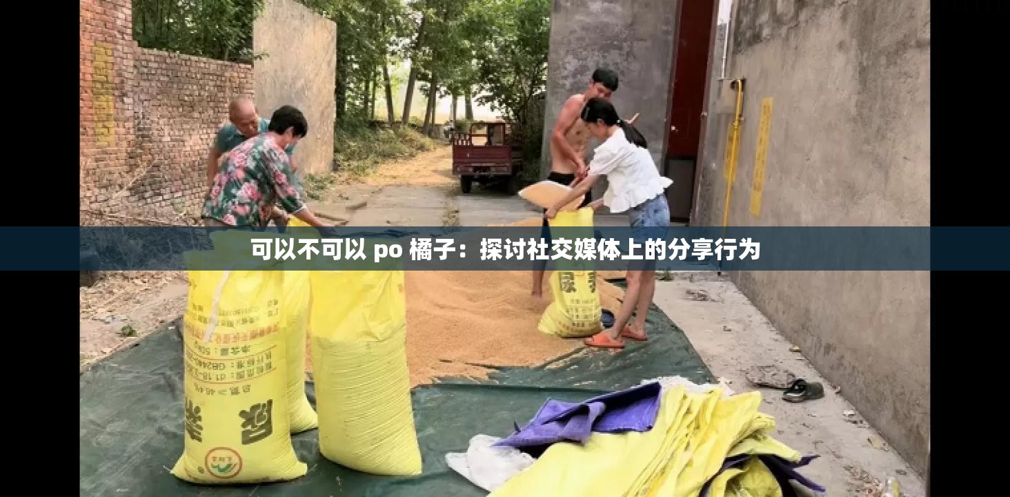 可以不可以 po 橘子：探討社交媒體上的分享行為