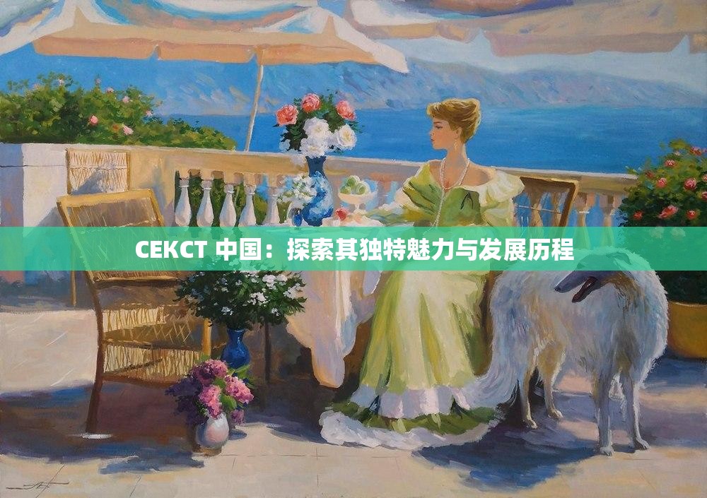 СЕКСТ 中國：探索其獨特魅力與發(fā)展歷程