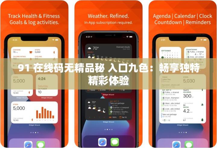 91 在線碼無(wú)精品秘 入口九色：暢享獨(dú)特精彩體驗(yàn)