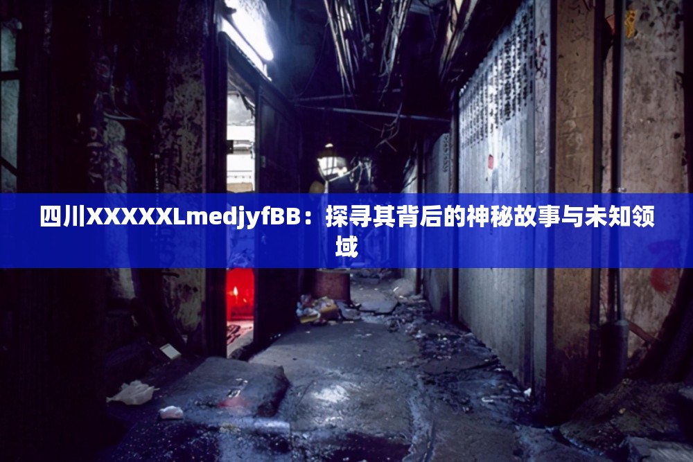 四川XXXXXLmedjyfBB：探尋其背后的神秘故事與未知領(lǐng)域