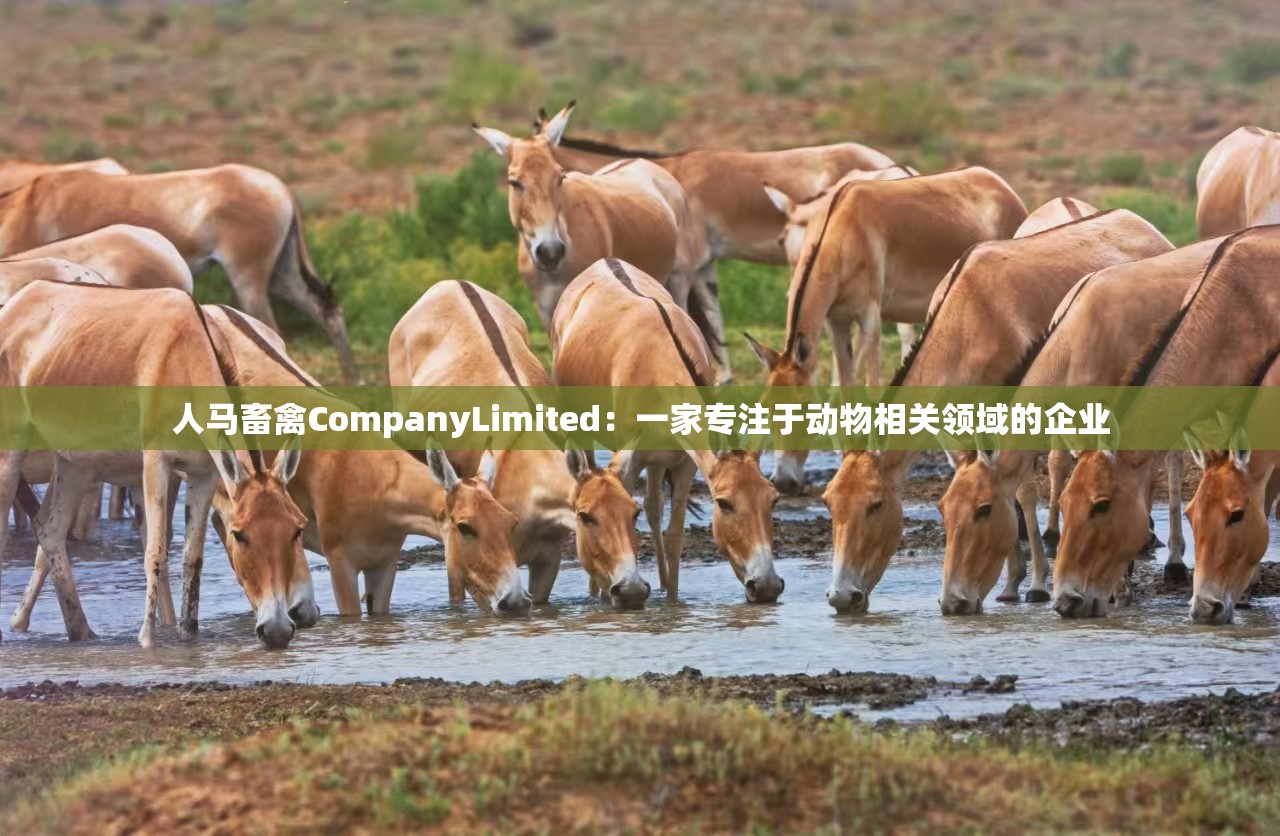 人馬畜禽CompanyLimited：一家專(zhuān)注于動(dòng)物相關(guān)領(lǐng)域的企業(yè)