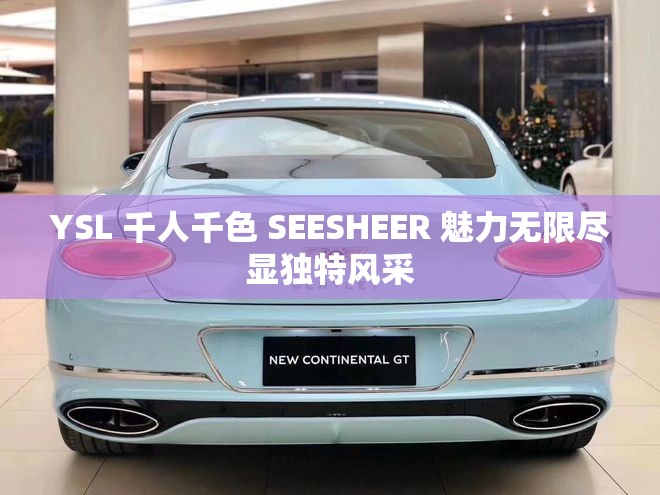 YSL 千人千色 SEESHEER 魅力無限盡顯獨特風采